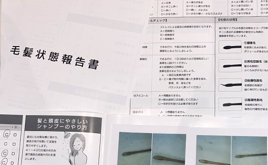 毛根測定