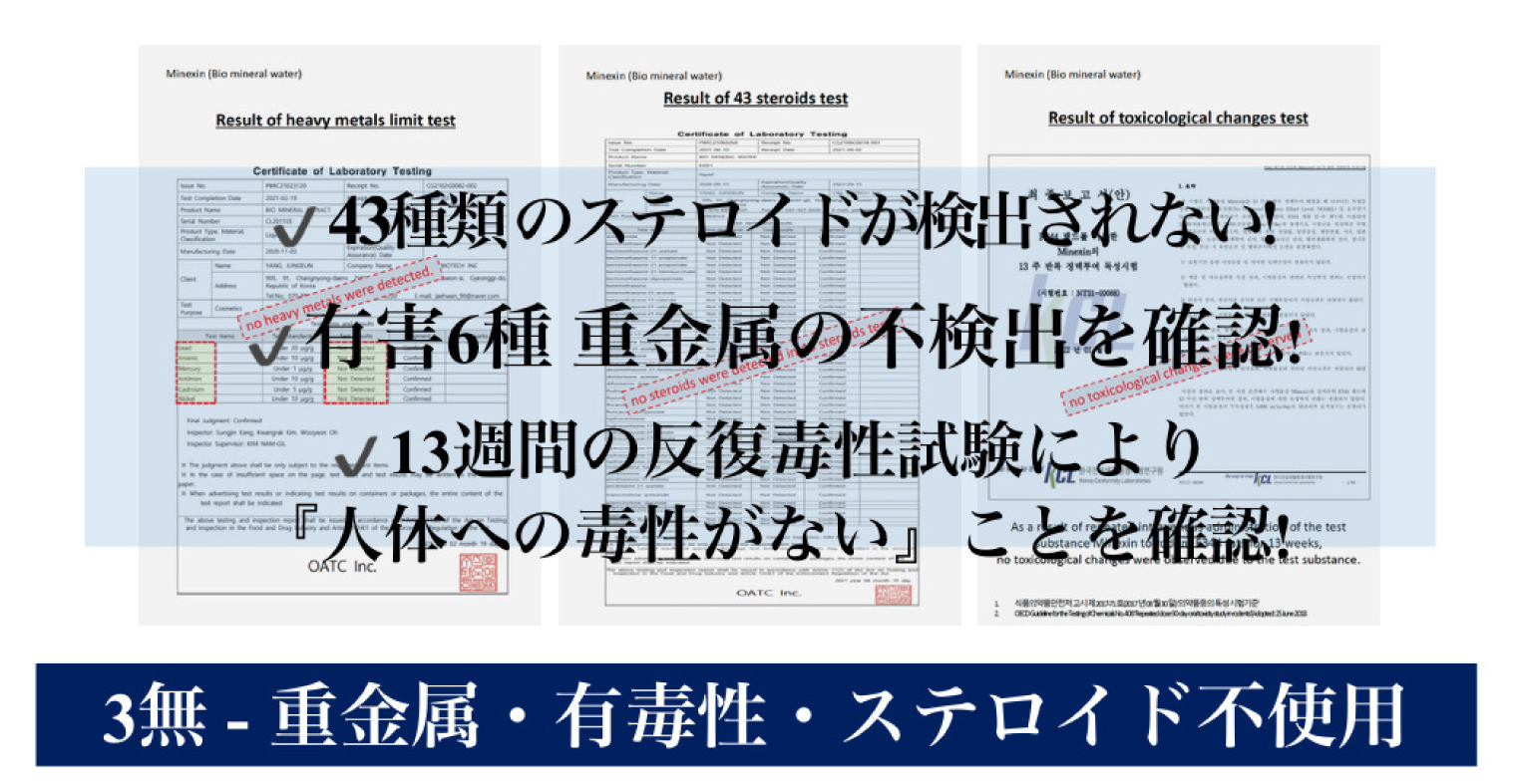 試験レポート